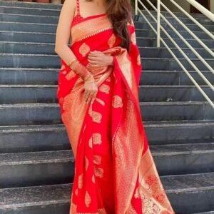 s1 Traditional saree