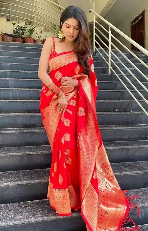 s1 Traditional saree